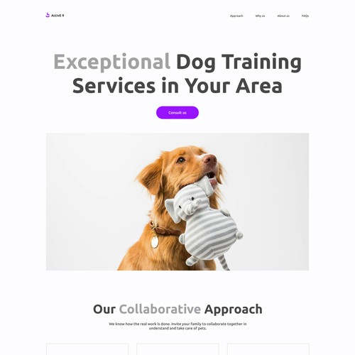 Website