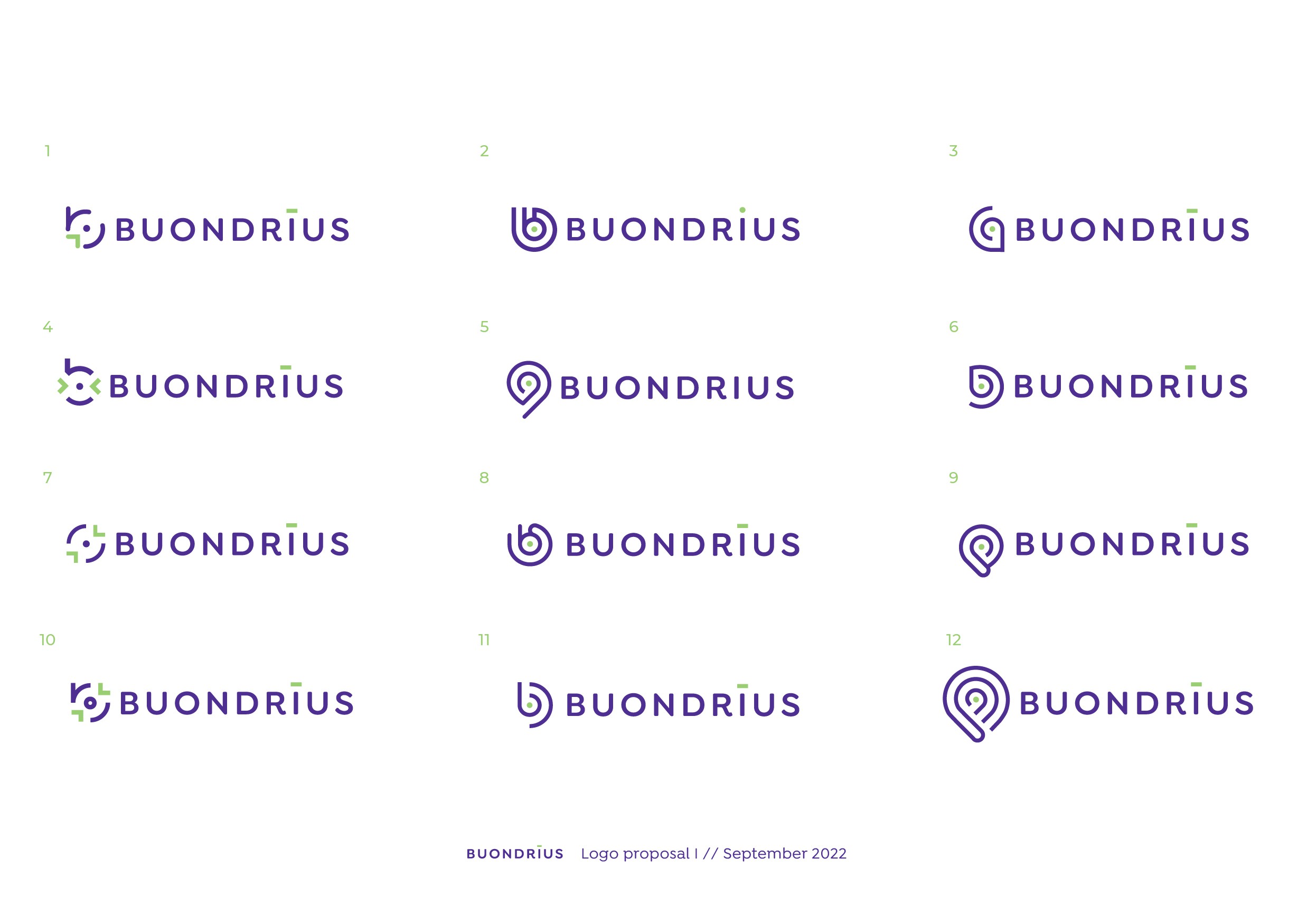 Buondrius——意味着在我的母语Romanch好奇激发自己的咨询公司