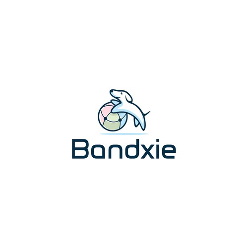 bandxie logo