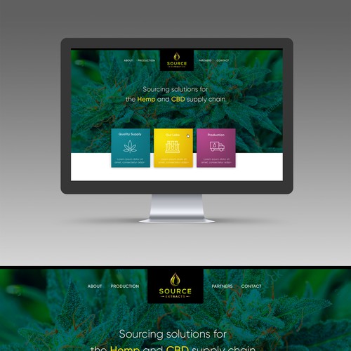 WEBSITE DESIGN