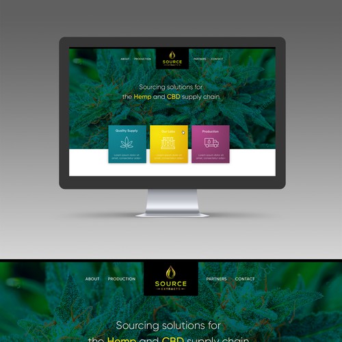 WEBSITE DESIGN