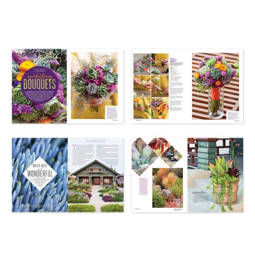 Succulents Magazine