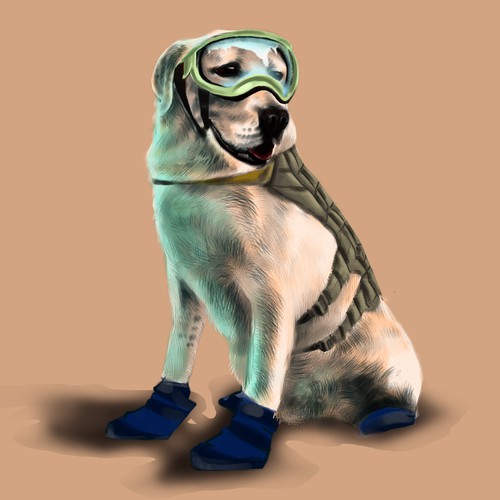 dog illustration