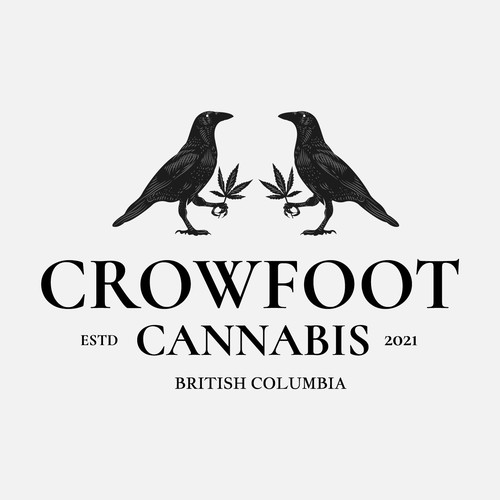 Crows and cannabis