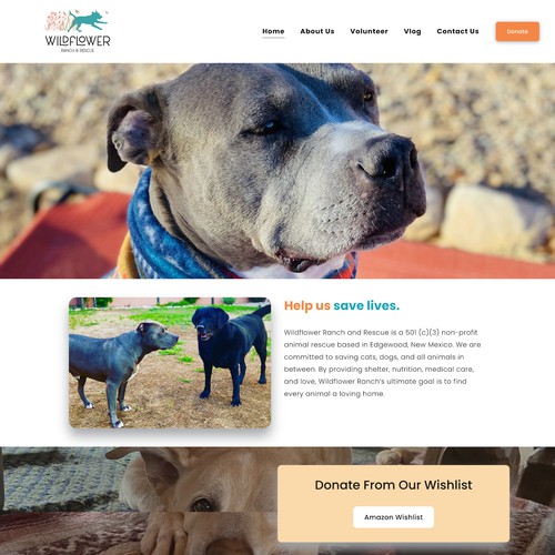 Wildflower Ranch & Rescue Design