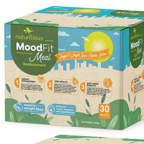 MoodFit Meal Replacement