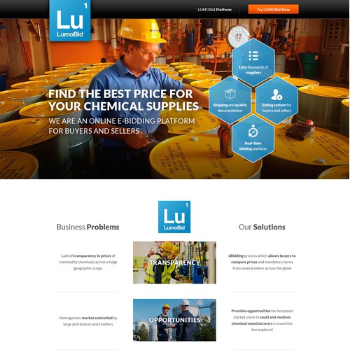 Website design for LumoBid