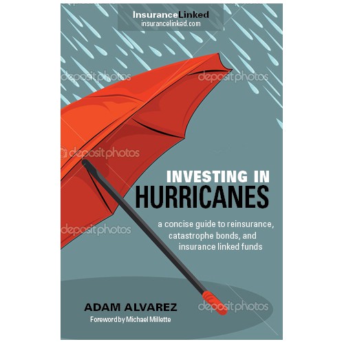 Investing in Hurricanes book cover