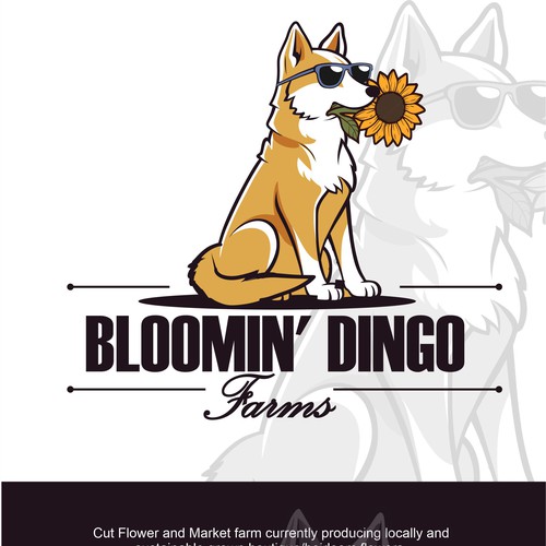 Blooming dingo
