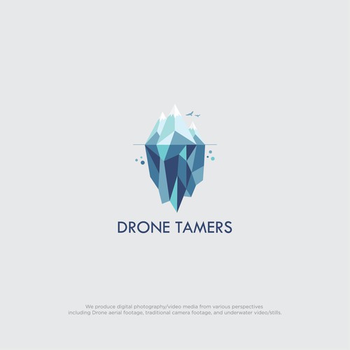 Drone Tamers