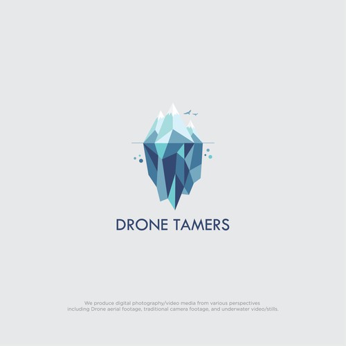 Drone Tamers