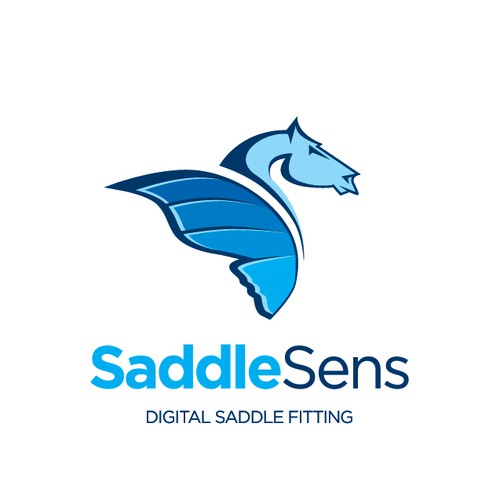 Saddle Sens