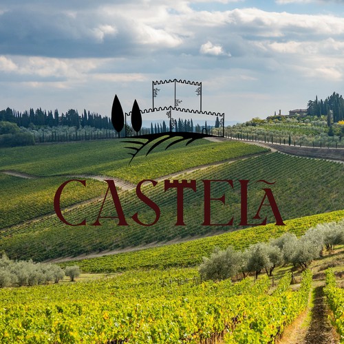 Castelã Wine | Brand Identity