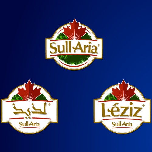 Create the next logo for Sull Aria