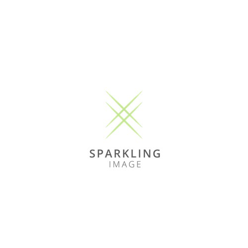 Logo Concept: Sparkling Image