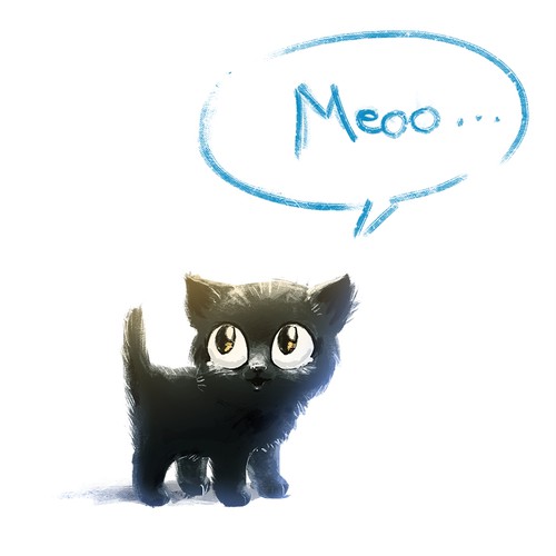 Kitty