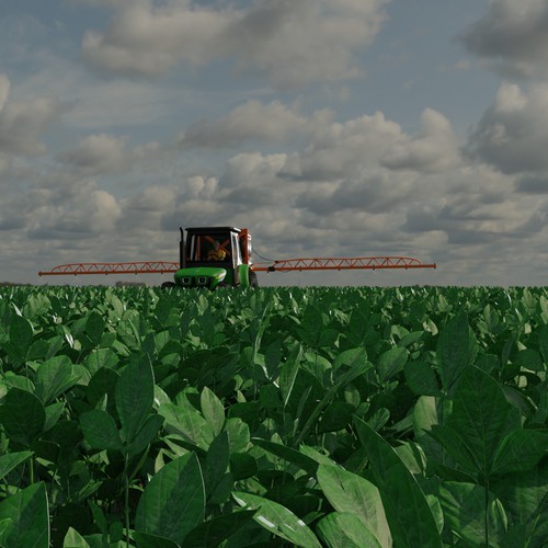 Soy field