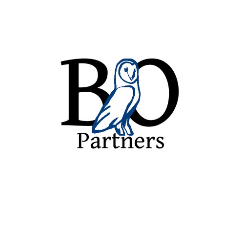 Blue Owl Partners