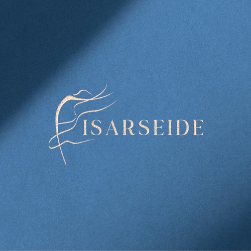 Aerialists Logo
