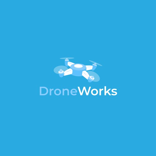 Logo Concept for a drone photographer