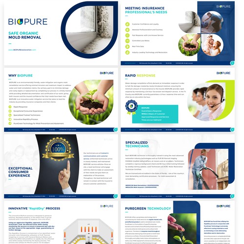 Pitch deck with custom Infographic for BIOPURE