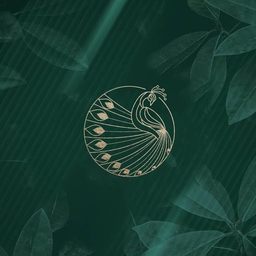 Elegant line art peacock logo concept.