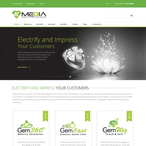 Multi -Media Website