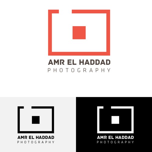 Logo concept for a photographer