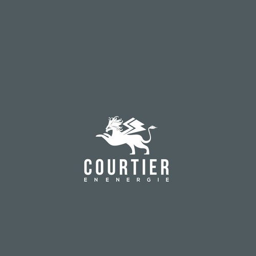 Courtier en Energie