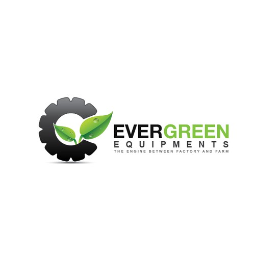 Create the next logo for Evergreen Equipment