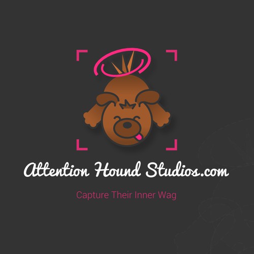 Pet Photography