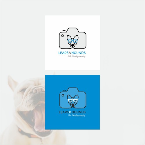 Logo for Pet Photography