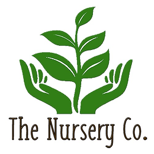 Example of The Nursery Co. Logo