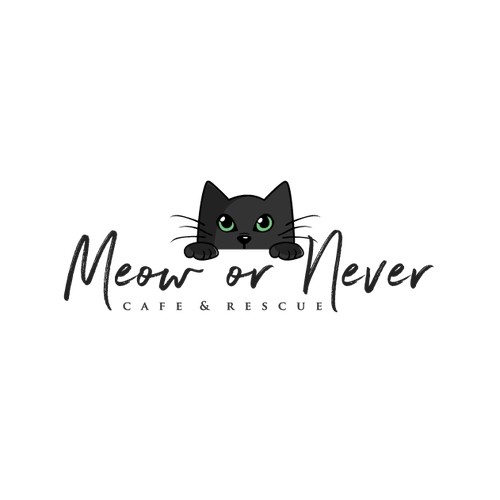 Meow or Never Cafe & Rescue