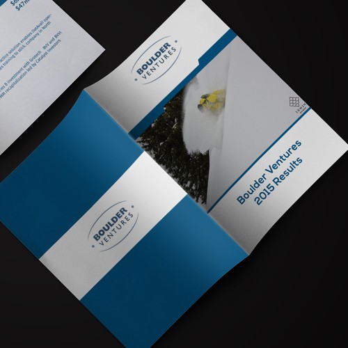 professional and lively brochure for a venture capital company