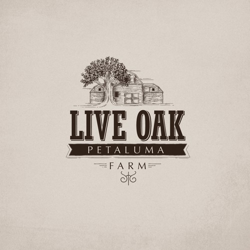 Live oak logo design
