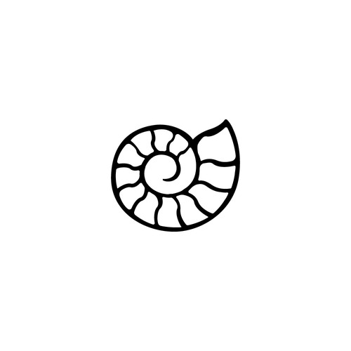 line art logo for brand Ammonite 