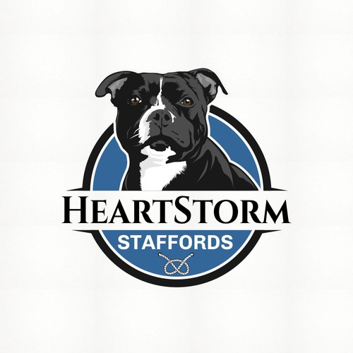 Logo Concept for HeartStorm