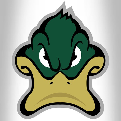 Ducks Sports Logo