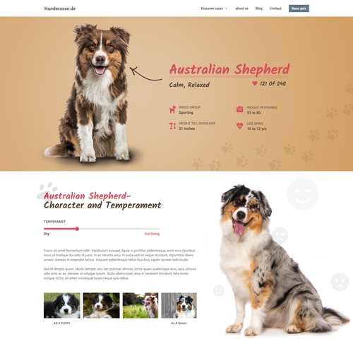 Design website to help people find the perfect dog breed 