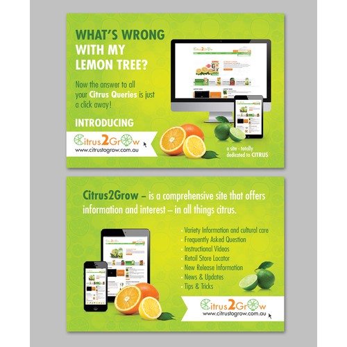 Citrus Site needs eye catching Promotional Post Card with zest and zing