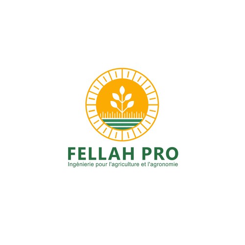 Fellah Pro