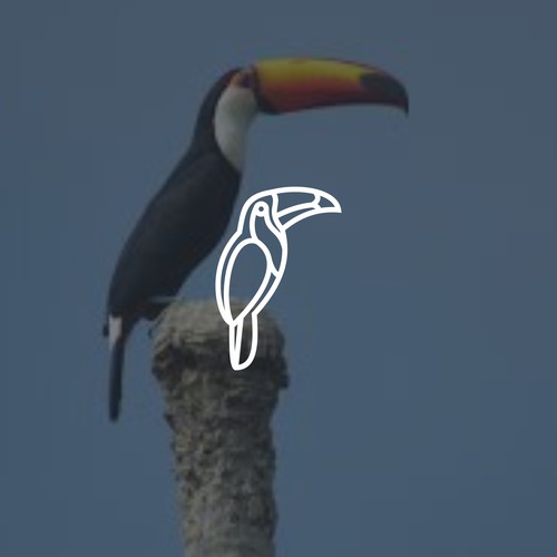 Toucan Supply Co