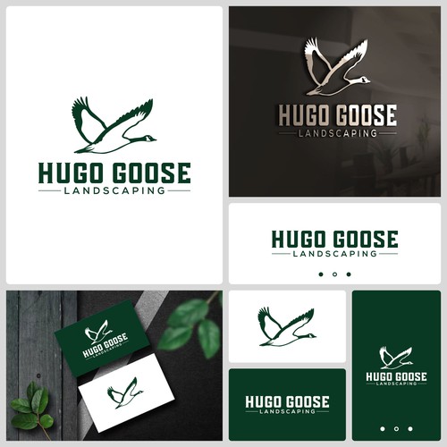 Hugo Goose