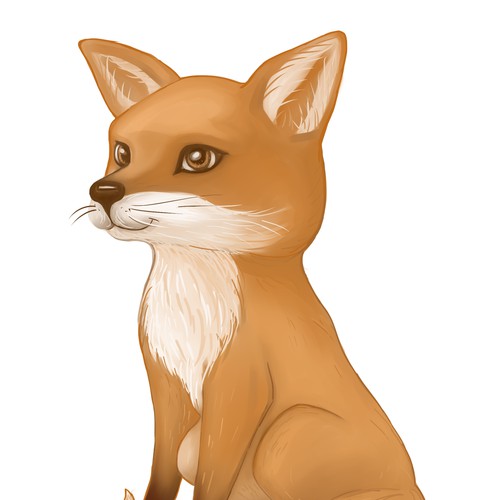 Little friendly fox