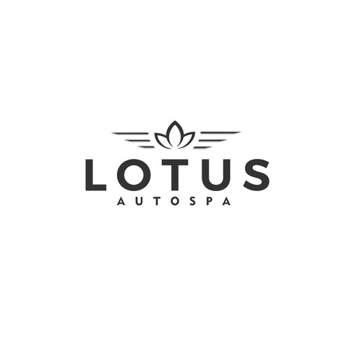 LOTUS auto spa