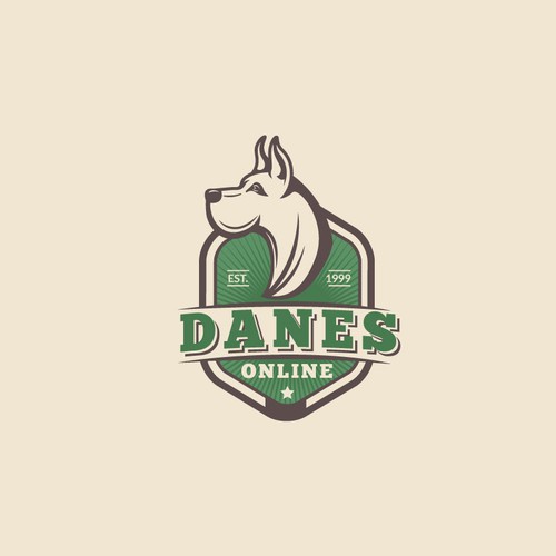 Logo concept for Danes Online