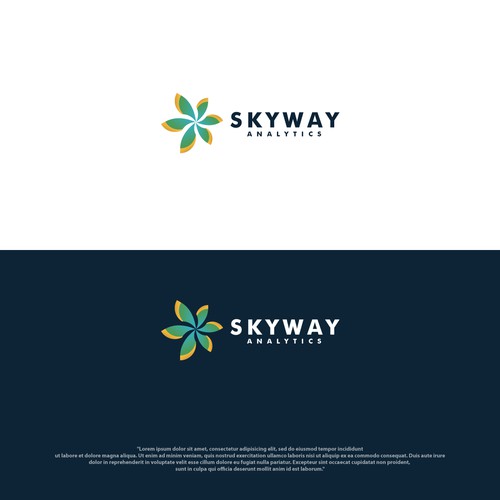 Skyway Analytic