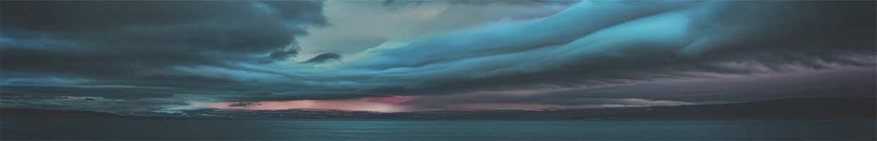 99Designs banner for @wings