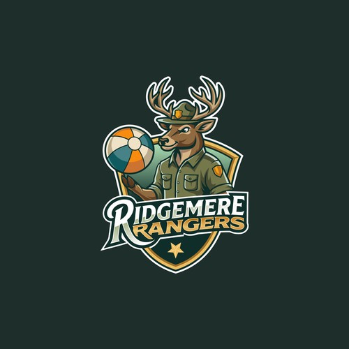 Bold logo concept for beachball team